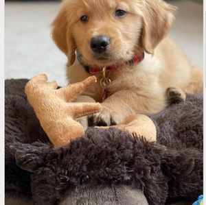 Meet your Posher, Gerald